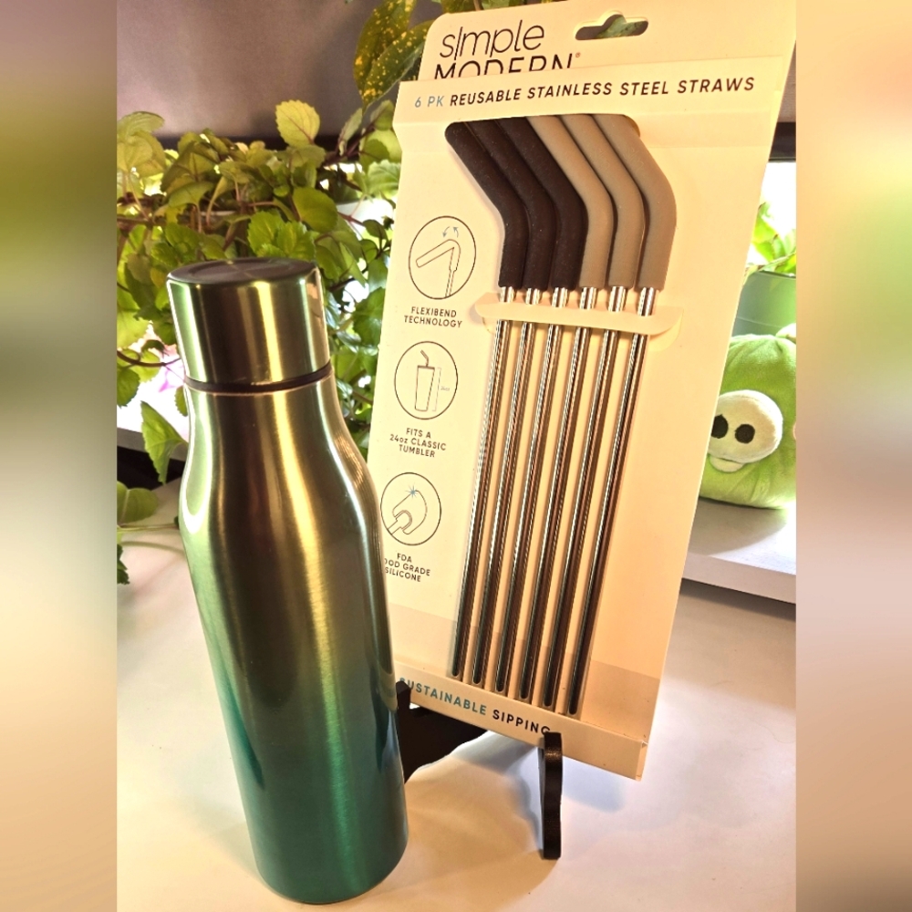 Room Essentials Double Wall Stainless Steel Vacuum Bottle with Stainless Straws